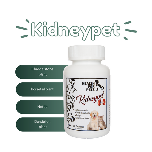 Kidneypet 90 - Antibacterial and analgesic for the urinary tract